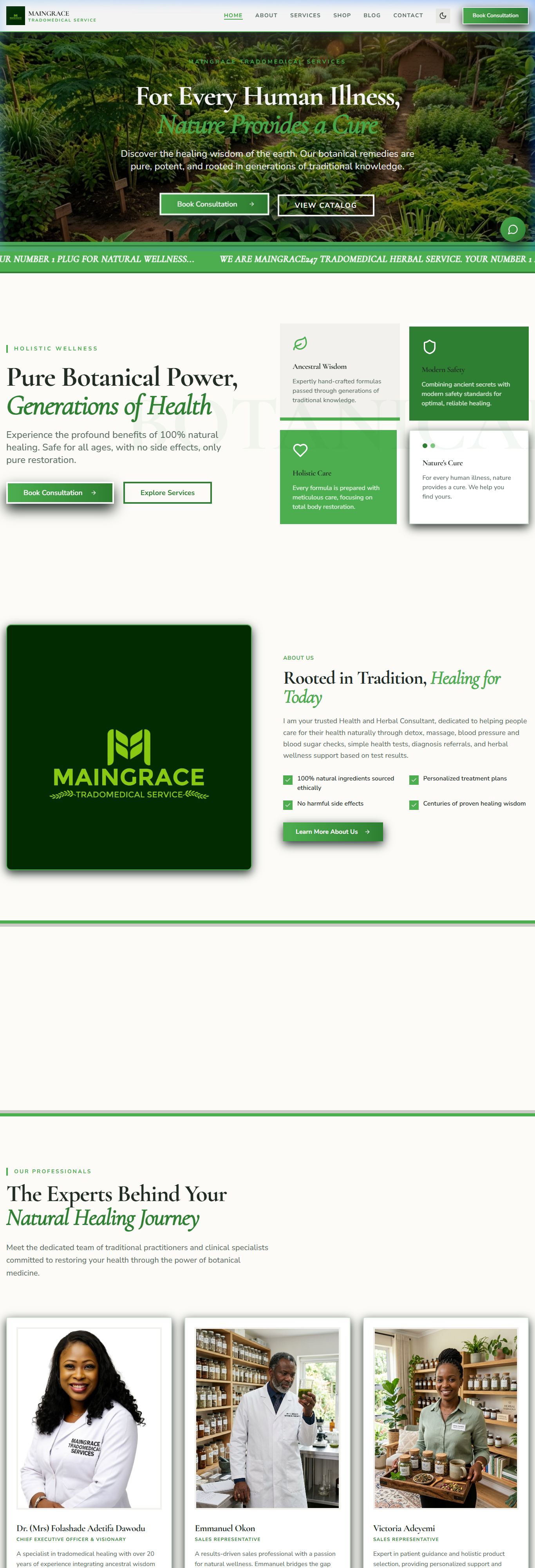 Maingrace Global Limited